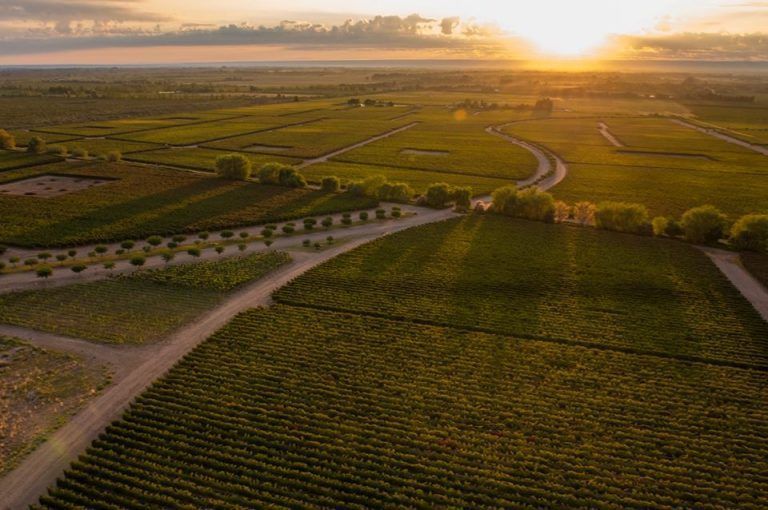 Mendoza ésta dentro de los “100 lugares que cambiarán tu vida” de National Geographic