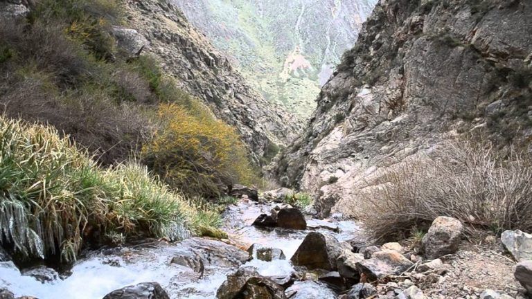 Caminos misteriosos en Argentina: Descubre fénomenos únicos