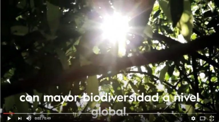 Día Internacional de la Diversidad Biológica: Tenemos un país lleno de riqueza, ¡Cuidémoslo! ?