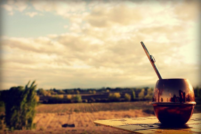 Fanático del mate ¿Cuál es tu perfil de cebador?