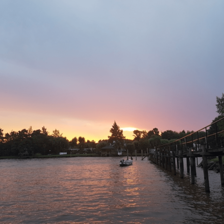 En Kayak por el Delta: la promesa de un paseo inolvidable