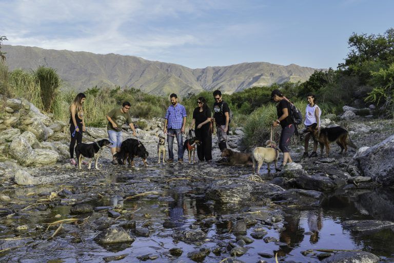 Villa de Merlo: Cuando las mascotas también quieren vacacionar