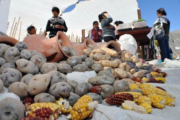 Se pone en marcha un Corredor turístico y productivo entre pueblos  de la Quebrada de Humahuaca