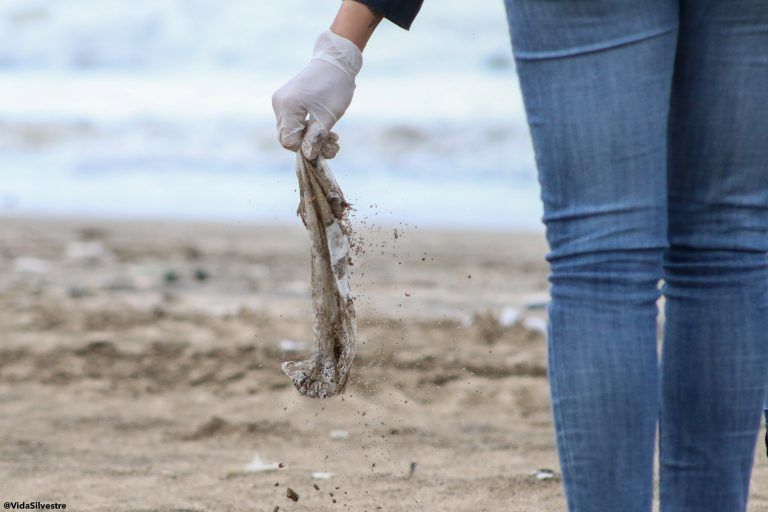 Un gran problema: El plástico es más del 80% de la basura  en las playas de provincia de Buenos Aires