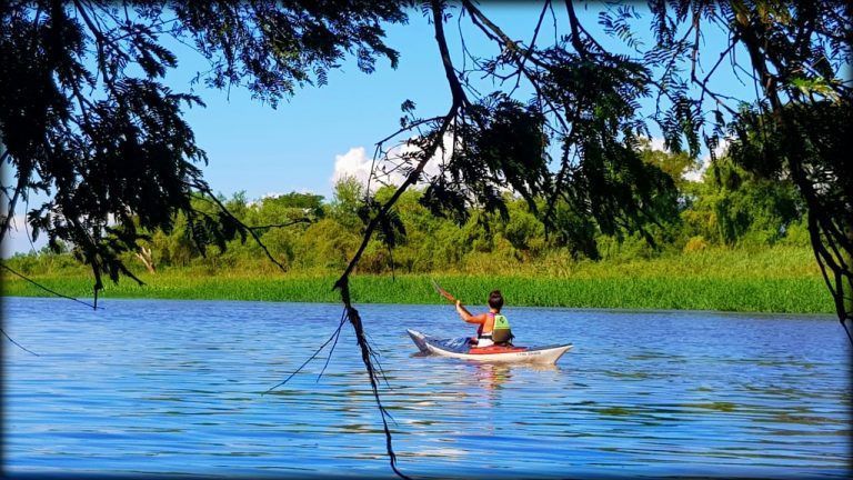Reconquista: Capital del Sitio Ramsar Jaaukanigas.