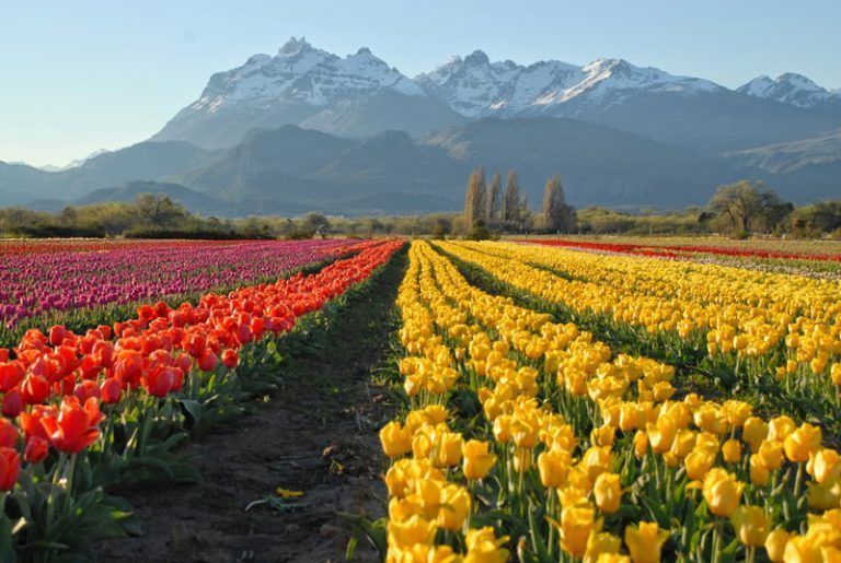 8 razones por las que deberías considerar visitar la Patagonia argentina en primavera: