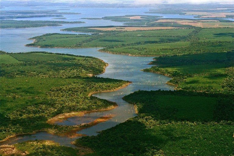 esteros del iberá