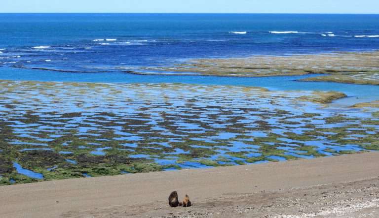 Las mejores playas de Argentina temporada 2023