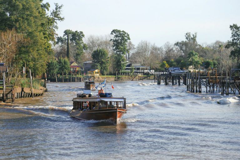 tigre