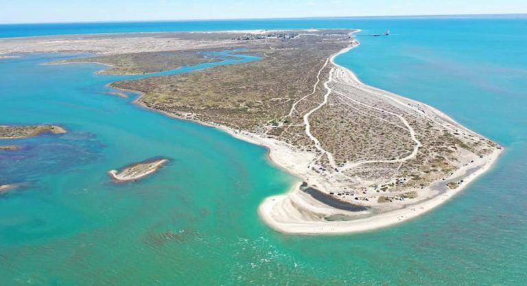 playa-punta-perdices