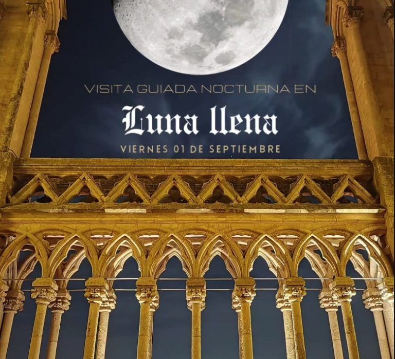 Basilica de Luján: Visita guida en luna llena