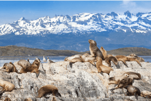 Canal de Beagle