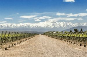 Mendoza