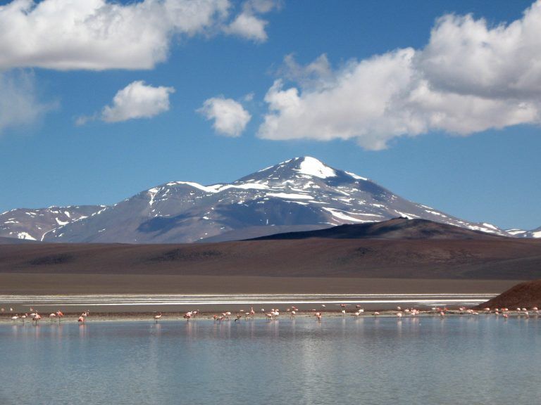 Flamencos y aventura: Laguna Brava en La Rioja