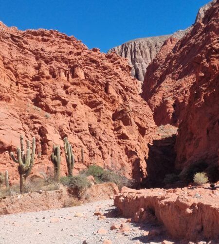 Viviendo la magia de la Quebrada.  Un viaje inolvidable por Tilcara, Uquía y Humahuaca