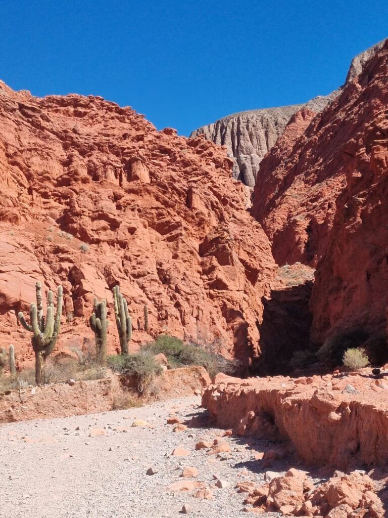 Viviendo la magia de la Quebrada.  Un viaje inolvidable por Tilcara, Uquía y Humahuaca