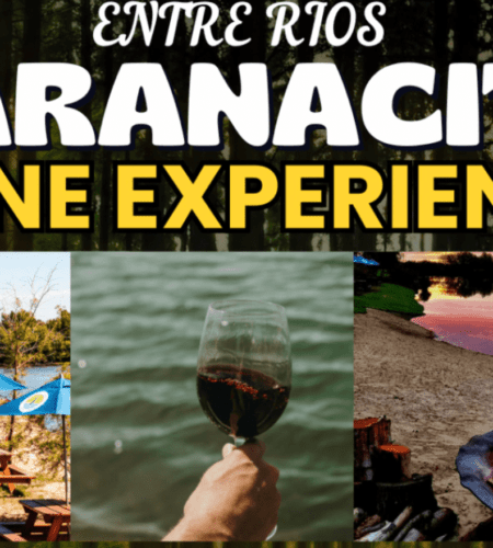 Paranacito Wine Experience: Una Escapada Única Entre Vinos Y Naturaleza 🍷🏕
