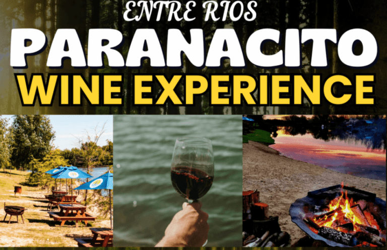 Paranacito Wine Experience: Una Escapada Única Entre Vinos Y Naturaleza 🍷🏕
